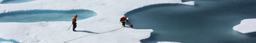 Arctic Data Committee logo