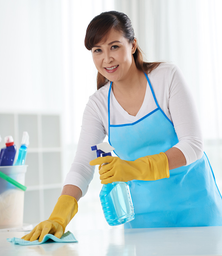 Ashton Cleaning Services logo