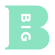 BIG Partnership logo
