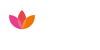BSY Ltd logo