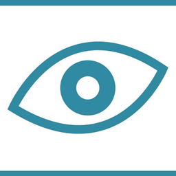 budvidetnawebu.cz logo