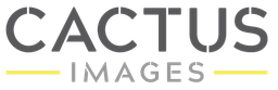 Cactus Images logo