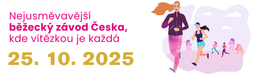 SDRUŽENÍ SPORTOVNÍCH KLUBŮ VÍTKOVICE, z.s. logo