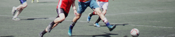 DUFC logo