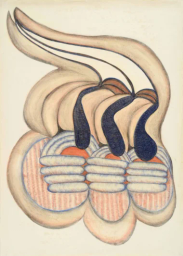 GOČÁROVA GALERIE logo
