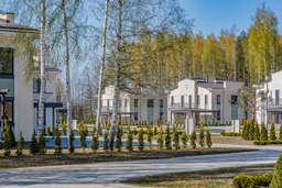 Green Village logo