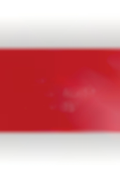 Iekšējo Auditoru Institūts logo