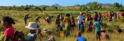 SEED Madagascar logo
