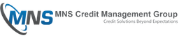 MNS Credit Management Group logo