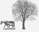 New Forest Removals logo