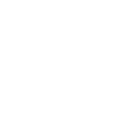 Persona AI logo