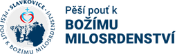 pout.cz logo