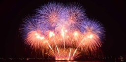 Pyro 2000 Ltd logo