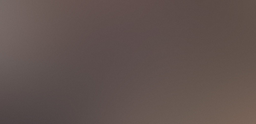 softinary logo
