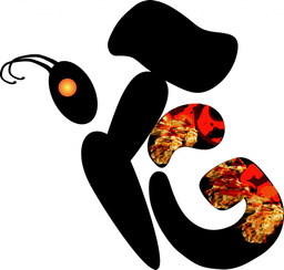 The Innovation Group srl logo