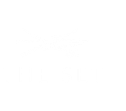 The Set logo