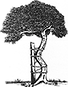 Gončara V. ārsta traumatologa-ortopēda prakse logo