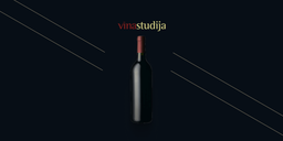 vina-studija.lv logo