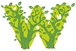 Wild Apple Design Ltd. logo