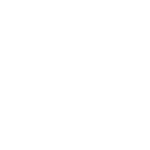 Vitaliy Yermolayev logo