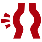 zachransiaortu.cz favicon